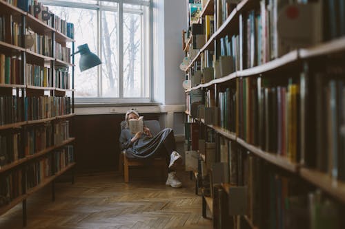 Kostnadsfri bild av avslappning, bibliotek, böcker