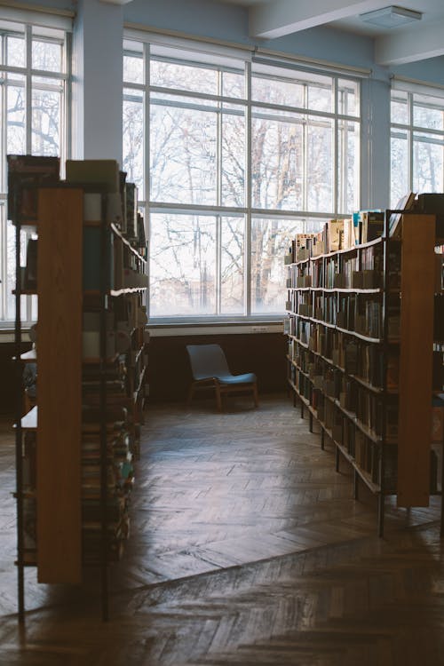 Gratis lagerfoto af bibliotek, bøger, bogreol