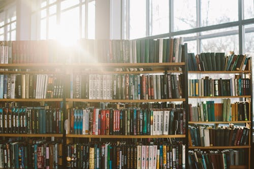 Kostnadsfri bild av bibliotek, böcker, bok