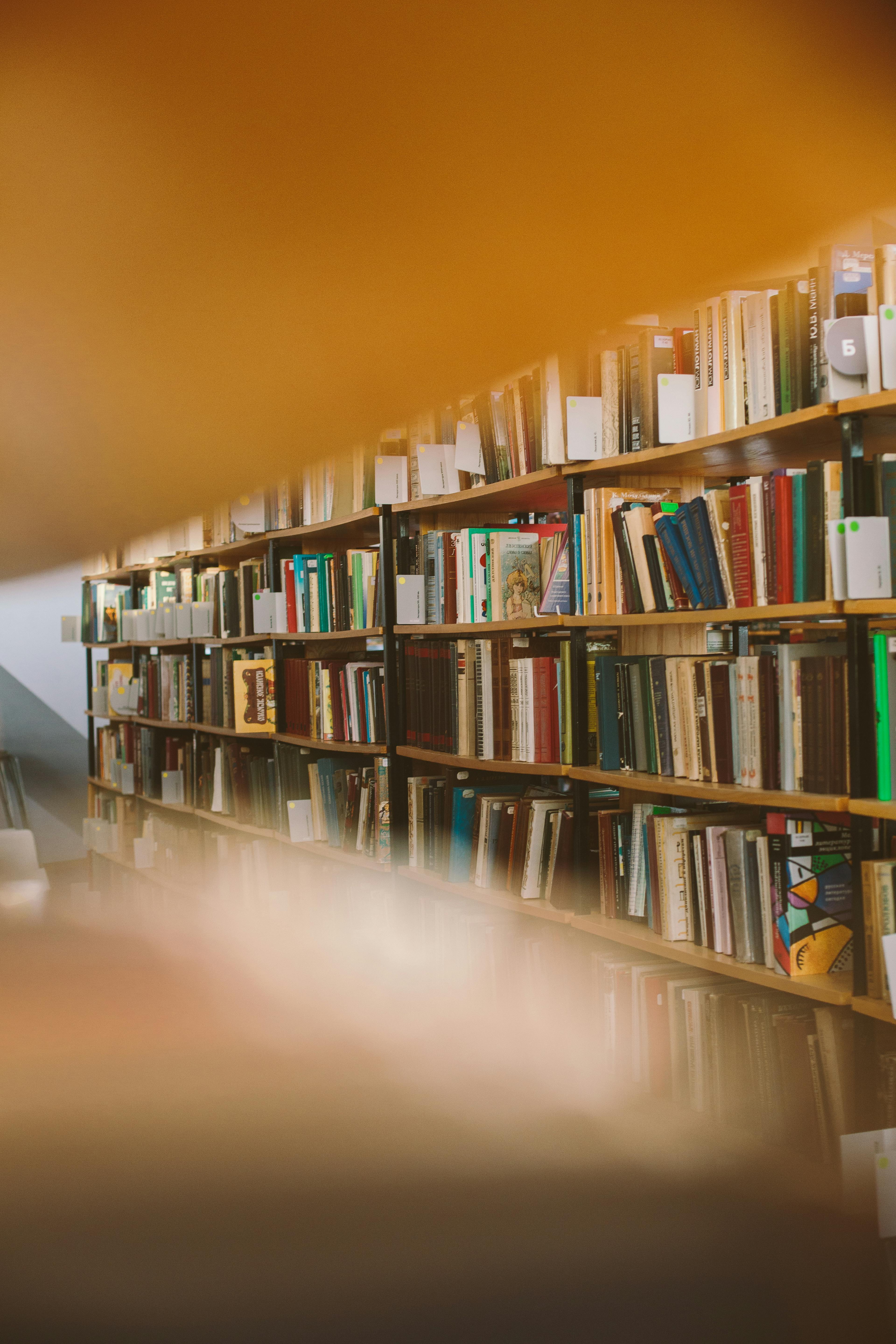 Free Books on Brown Wooden Shelves Stock Photo