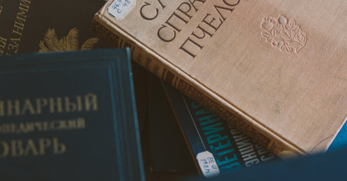 迎金馬年!台彩春節加碼曝 🎉大樂透連開19天