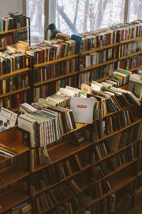 Books on Brown Wooden Shelf