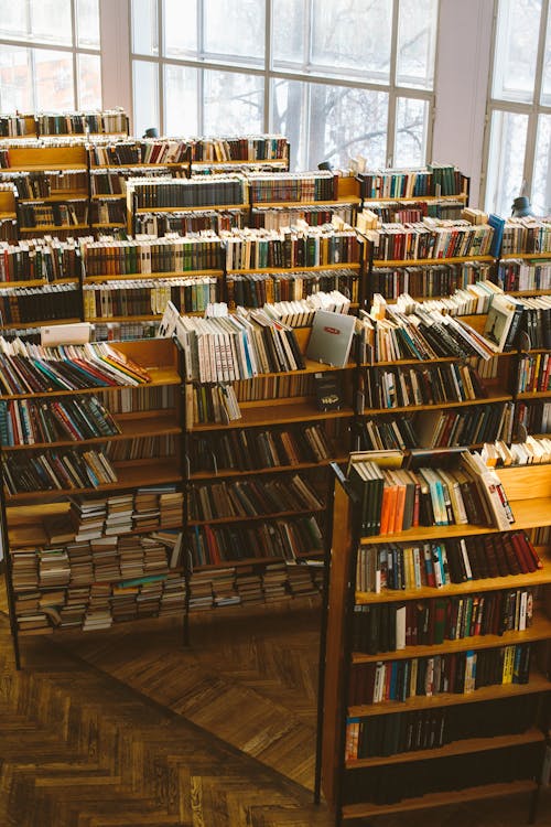 Kostnadsfri bild av bibliotek, böcker, bokhyllor