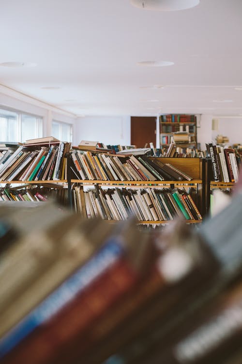 Books on Brown Wooden Shelf