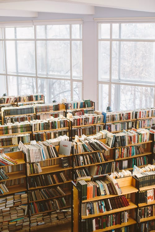 Libros En Estante De Madera Marrón