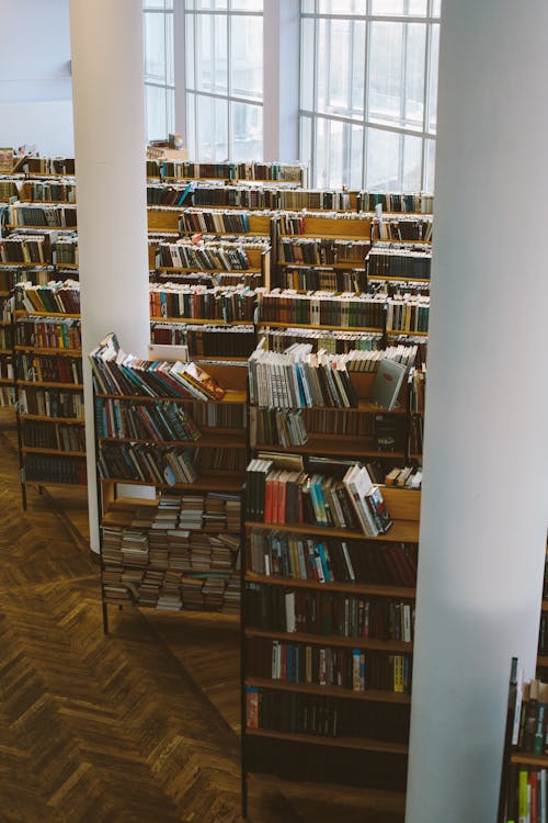 Books on White Wooden Shelf