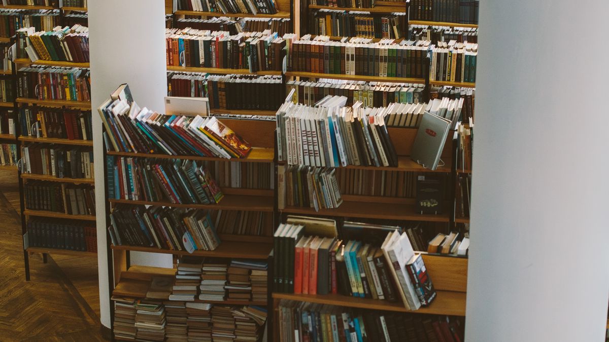 Estantes de madeira de uma biblioteca moderna repletas de livros, iluminadas por luz natural