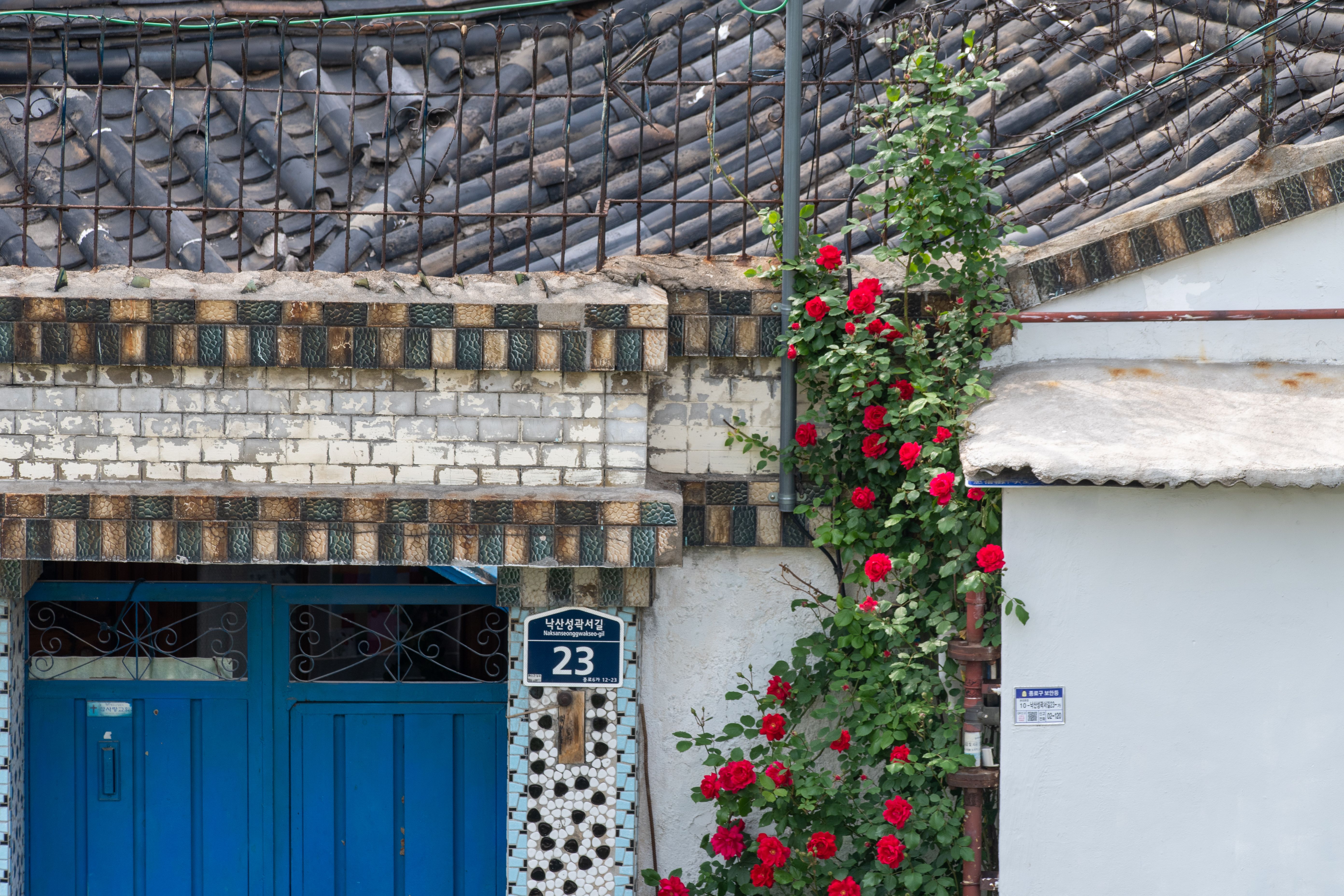 Traditional House Facade with Red Roses and Blue Door · Free Stock Photo