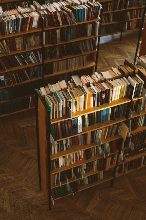 бесплатная Фото книг на деревянных полках Стоковое фото
