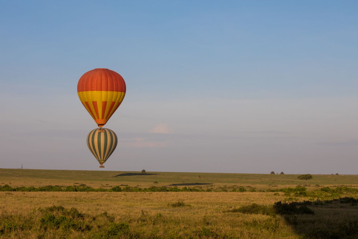 Hot air balloons drifting over the Maasai Mara at sunrise