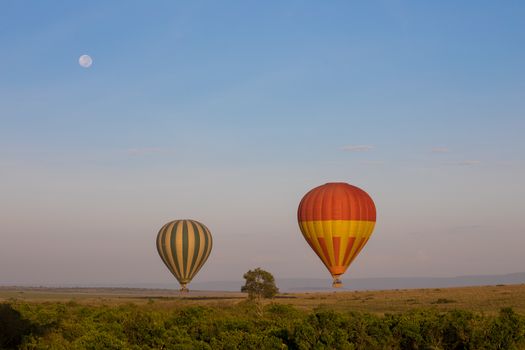 Beautiful hot air balloons floating over the Kenyan savanna under a clear sky and full moon.