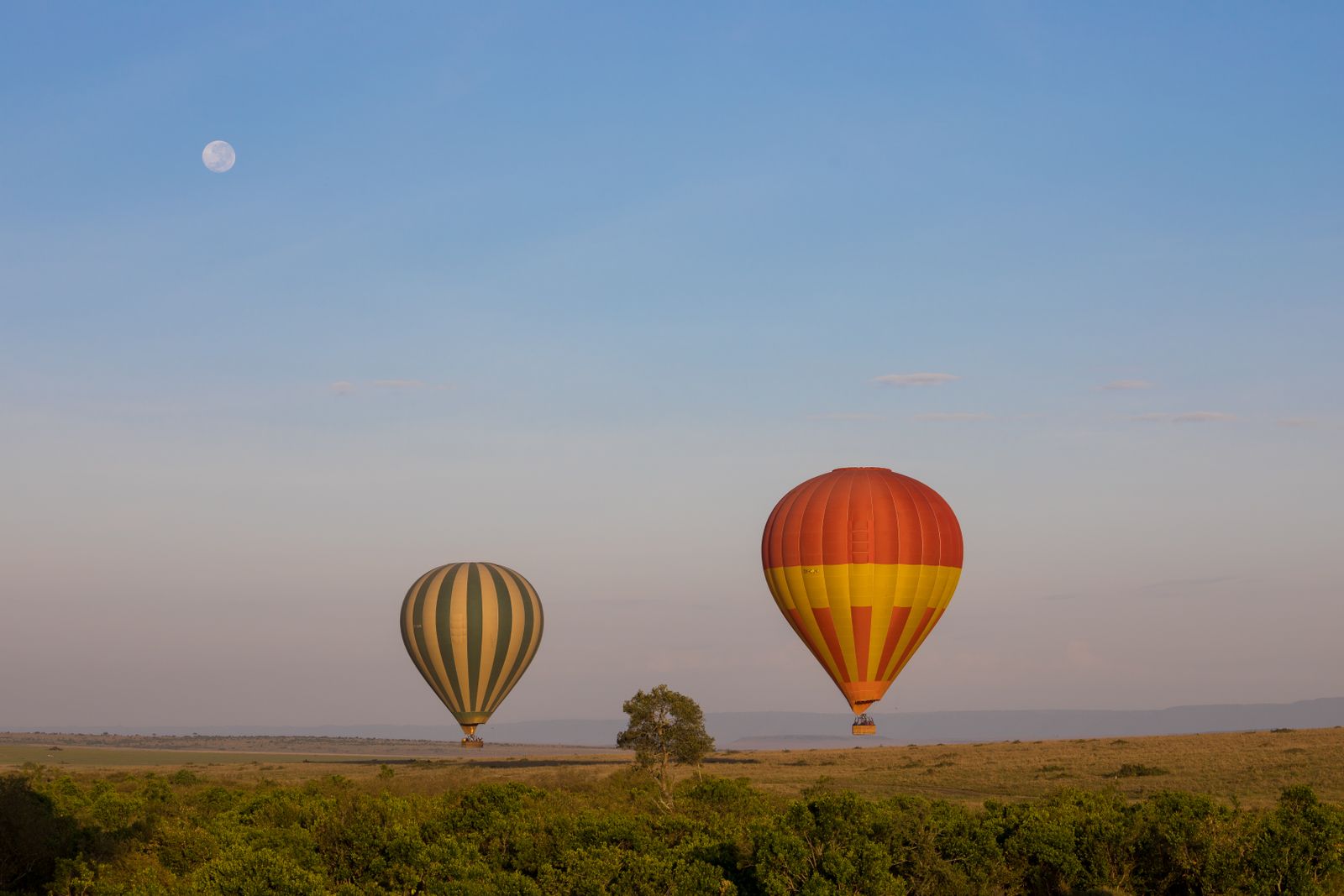 Hot air balloons in Kenya at sunrise