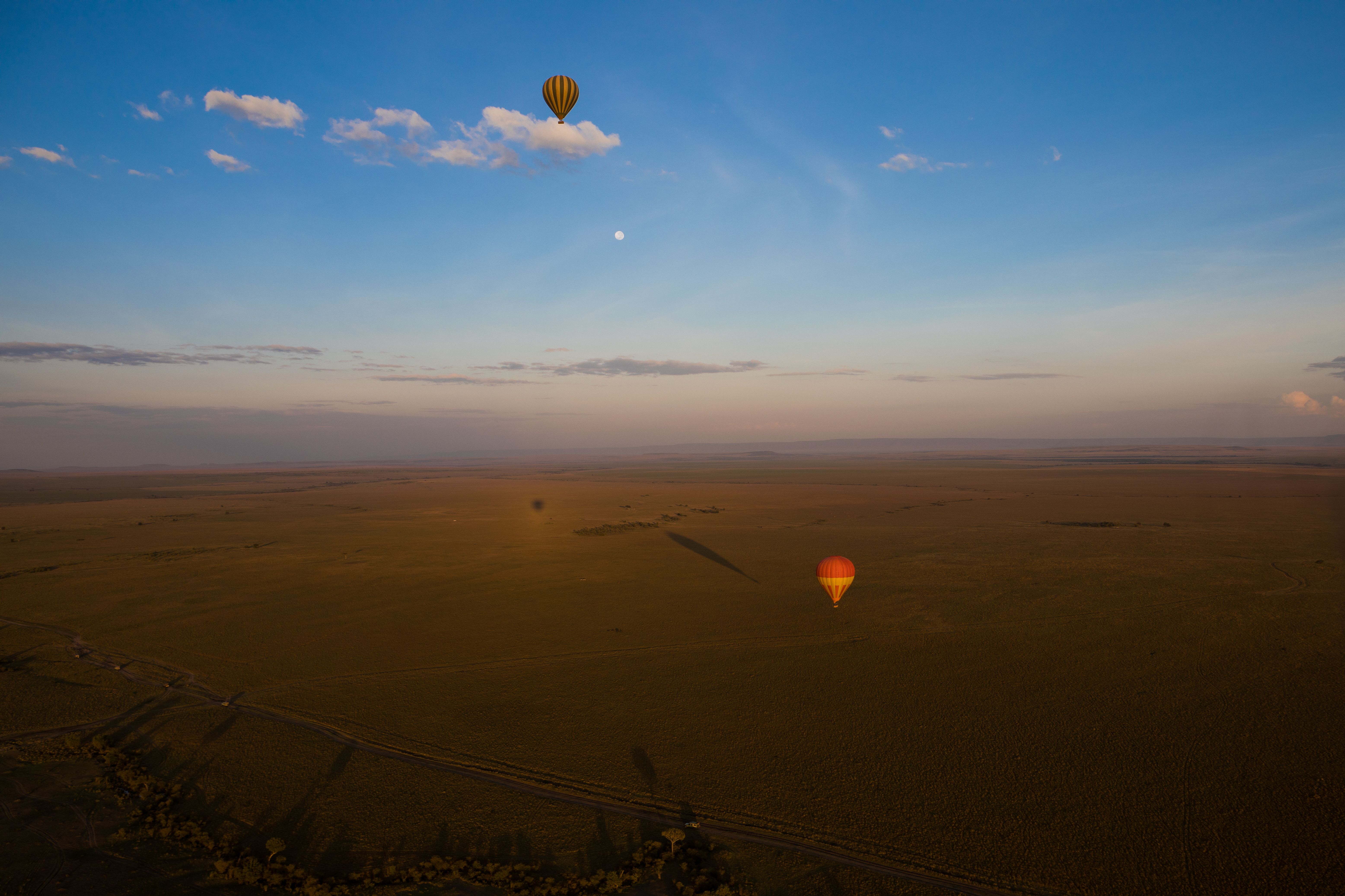 Understanding the Maasai Mara Safari Cost