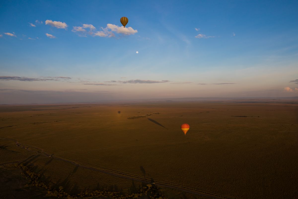 Hot air balloons floating above African savannah at sunrise