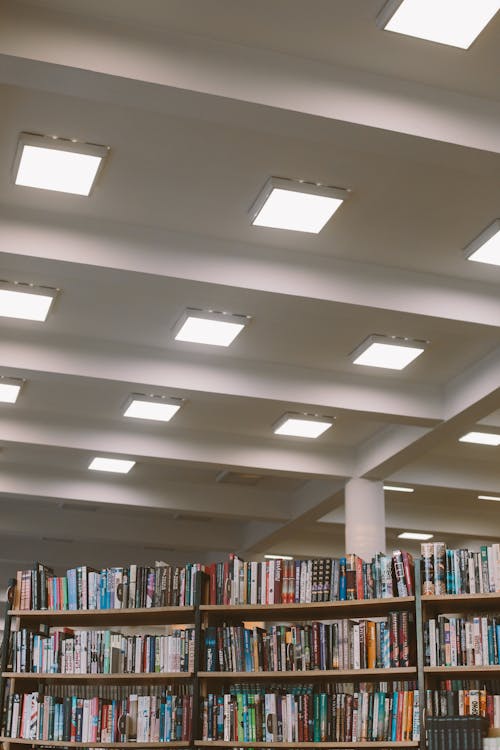 Photo Of Books On Bookcase