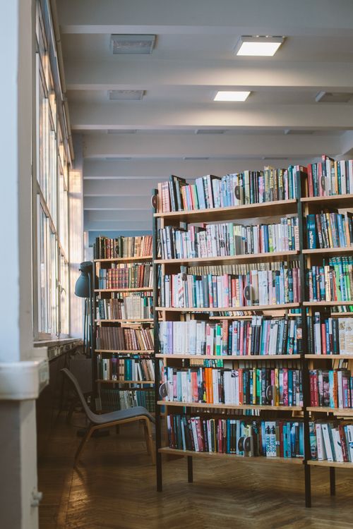 Free A serene library setting featuring well-organized bookshelves with sunlight streaming through large windows. Stock Photo