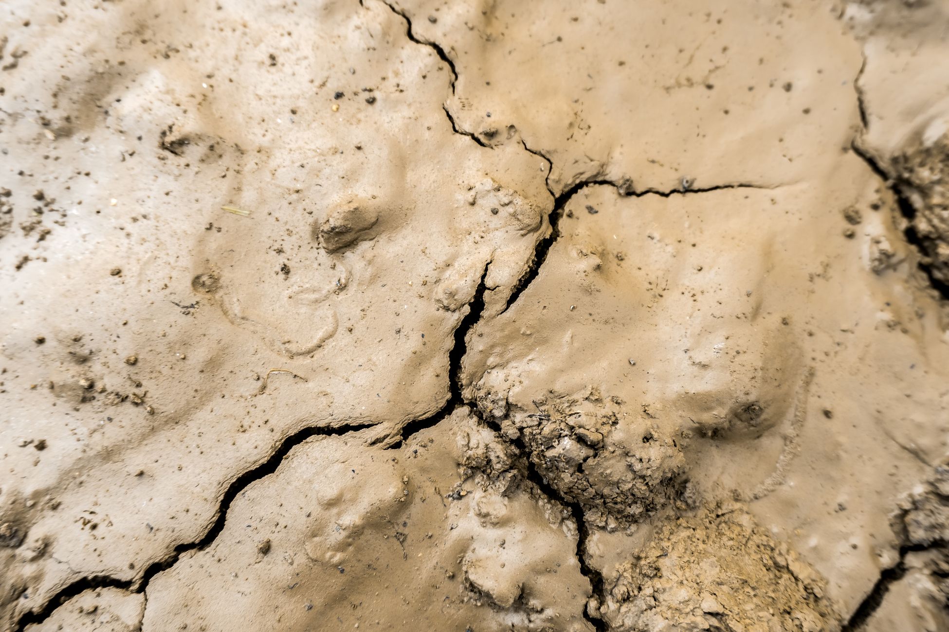 Waterschap stelt onttrekkingsverbod in voor water uit beken en sloten