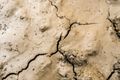 Cracked dry earth — photo by Samiran Biswas on Pexels