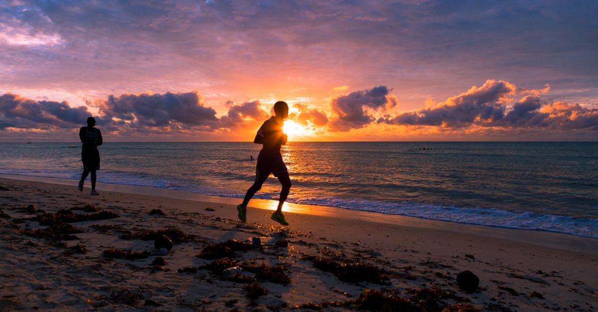 The Disciplined Early Bird