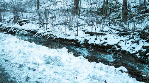 Free stock photo of brook, cold, snow