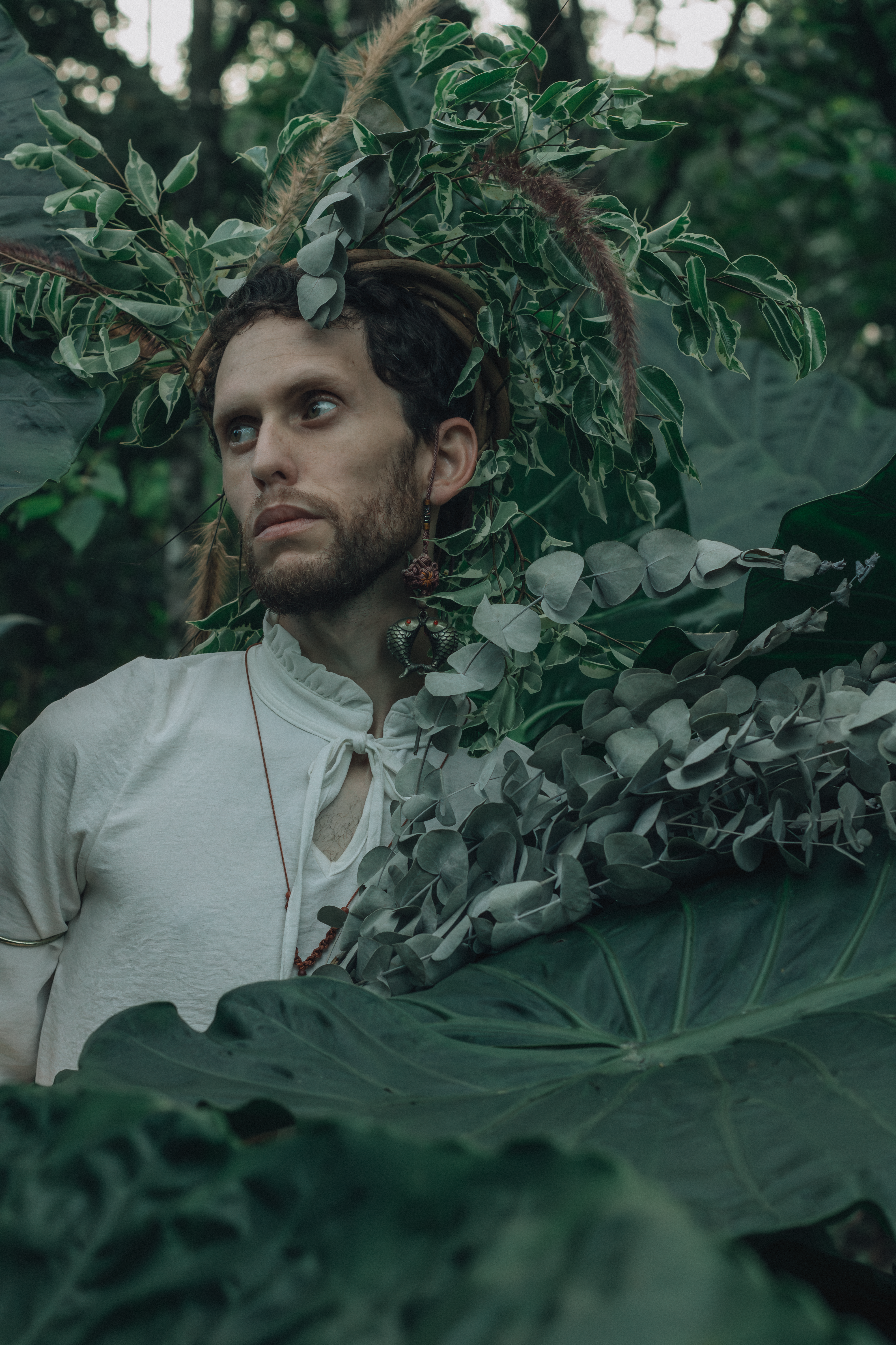 Man Surrounded by Lush Greenery in Forest Setting · Free Stock Photo