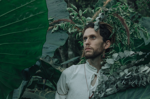 Free Man surrounded by lush green foliage, adorned with natural elements, creating an ethereal look. Stock Photo
