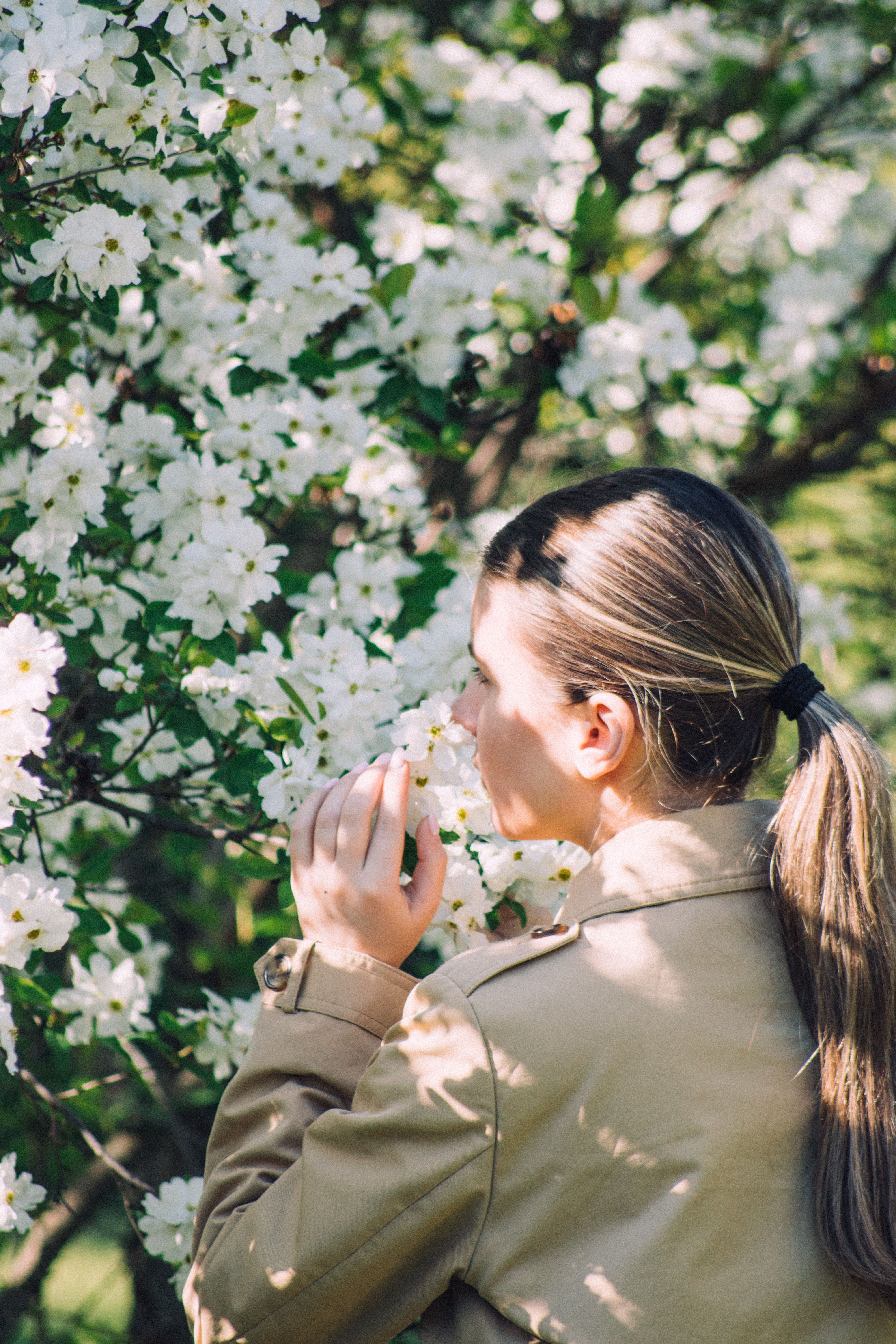 Woman Enjoying Spring Blossoms · Free Stock Photo