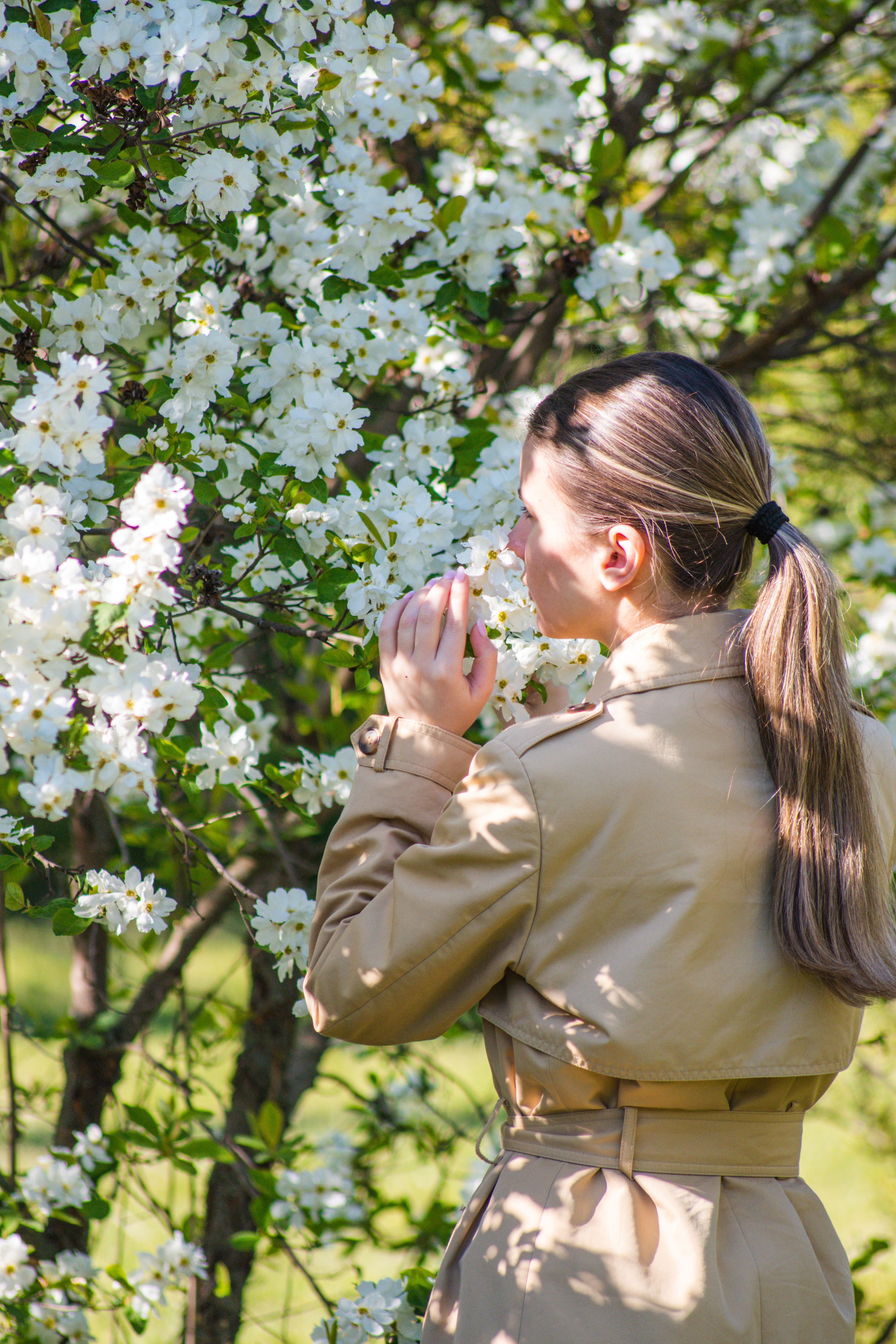 Young Woman Enjoying Springtime Blossoms · Free Stock Photo