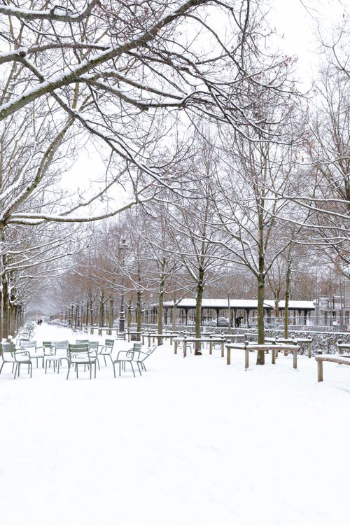 Free A tranquil winter scene in a snow-covered park with empty green chairs under leafless trees. Stock Photo