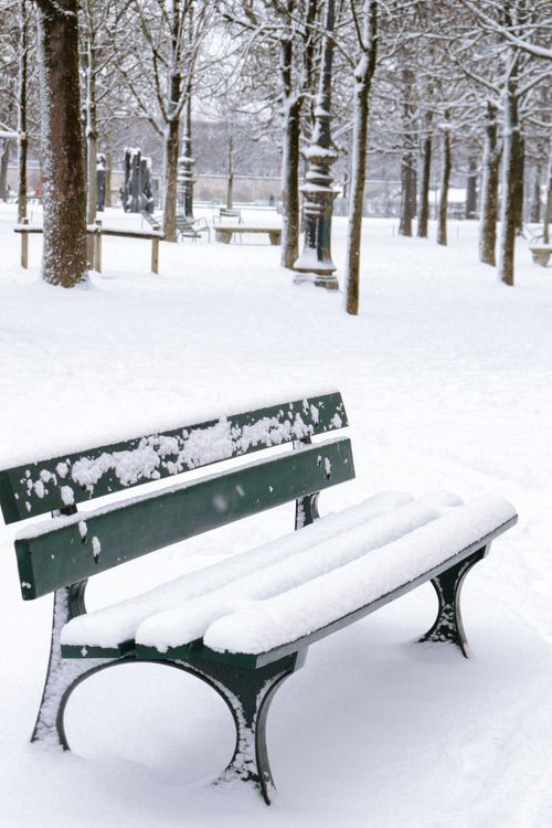 Free A snowy scene with a park bench covered in fresh snow, surrounded by bare trees. Stock Photo
