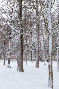 Serene winter scene of a snow-blanketed park with bare trees and soft natural light.