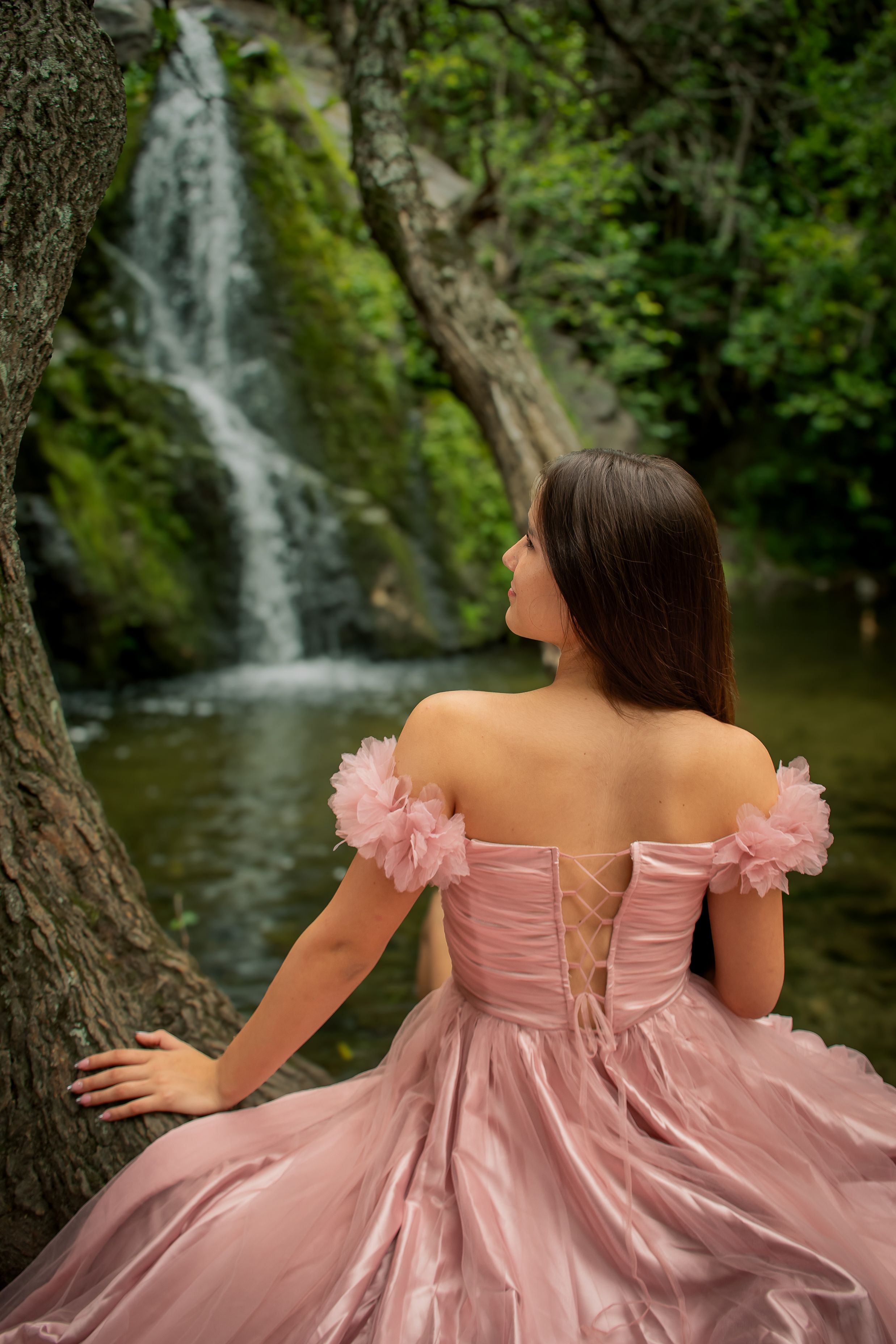 A woman in a pink dress sits by a serene waterfall, surrounded by nature.