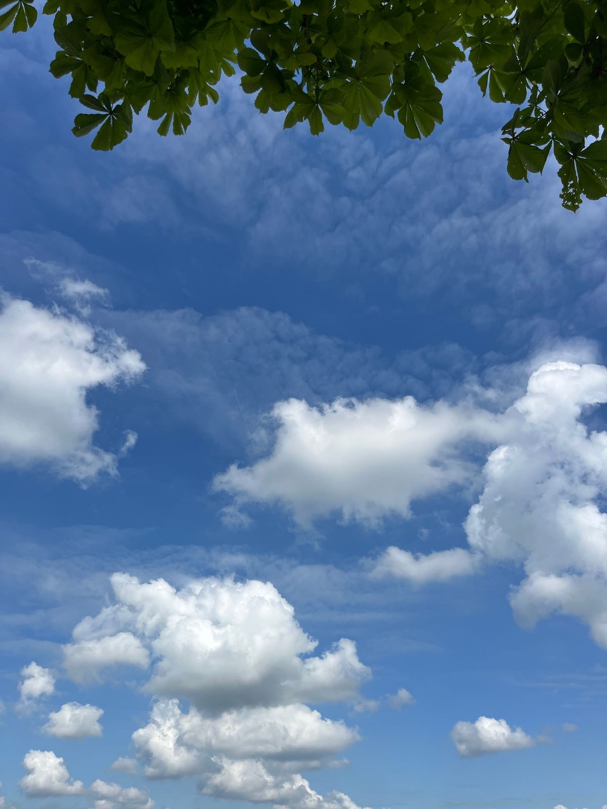 夏の青空と雲