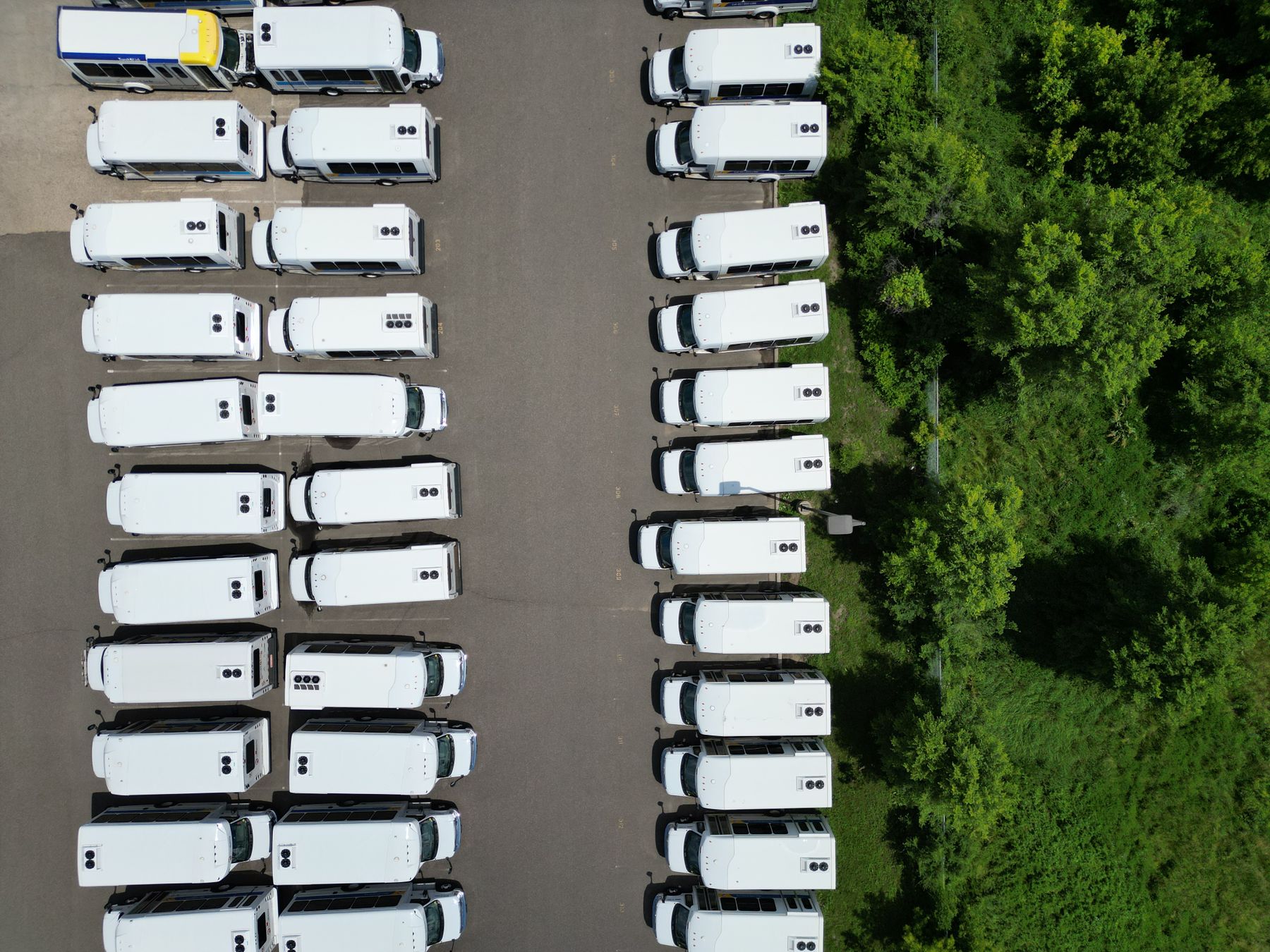 Vista cenital de una flota de buses estacionados en filas ordenadas
