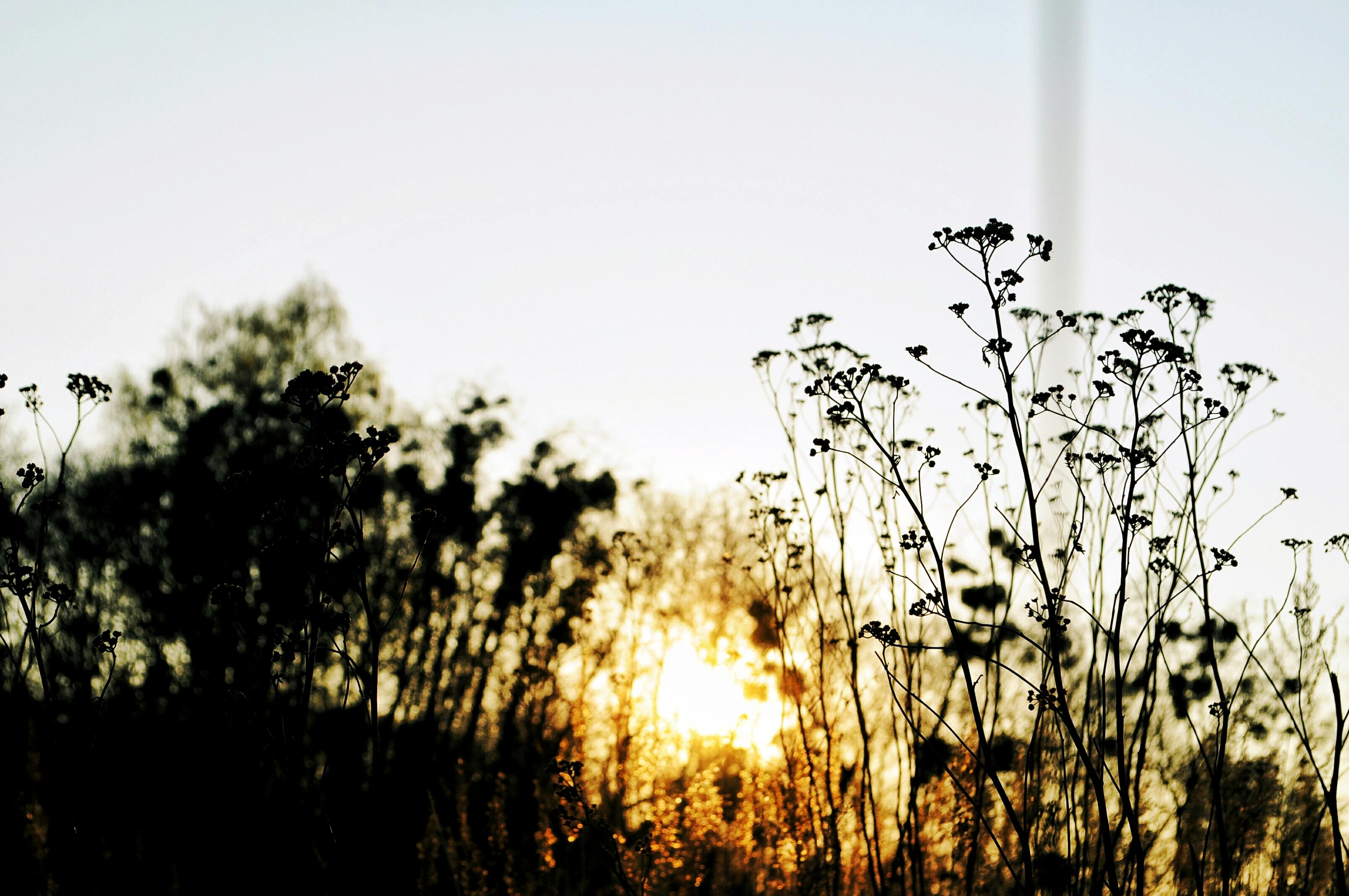 Kostenloses Foto zum Thema himmel, klarer himmel, kreativ