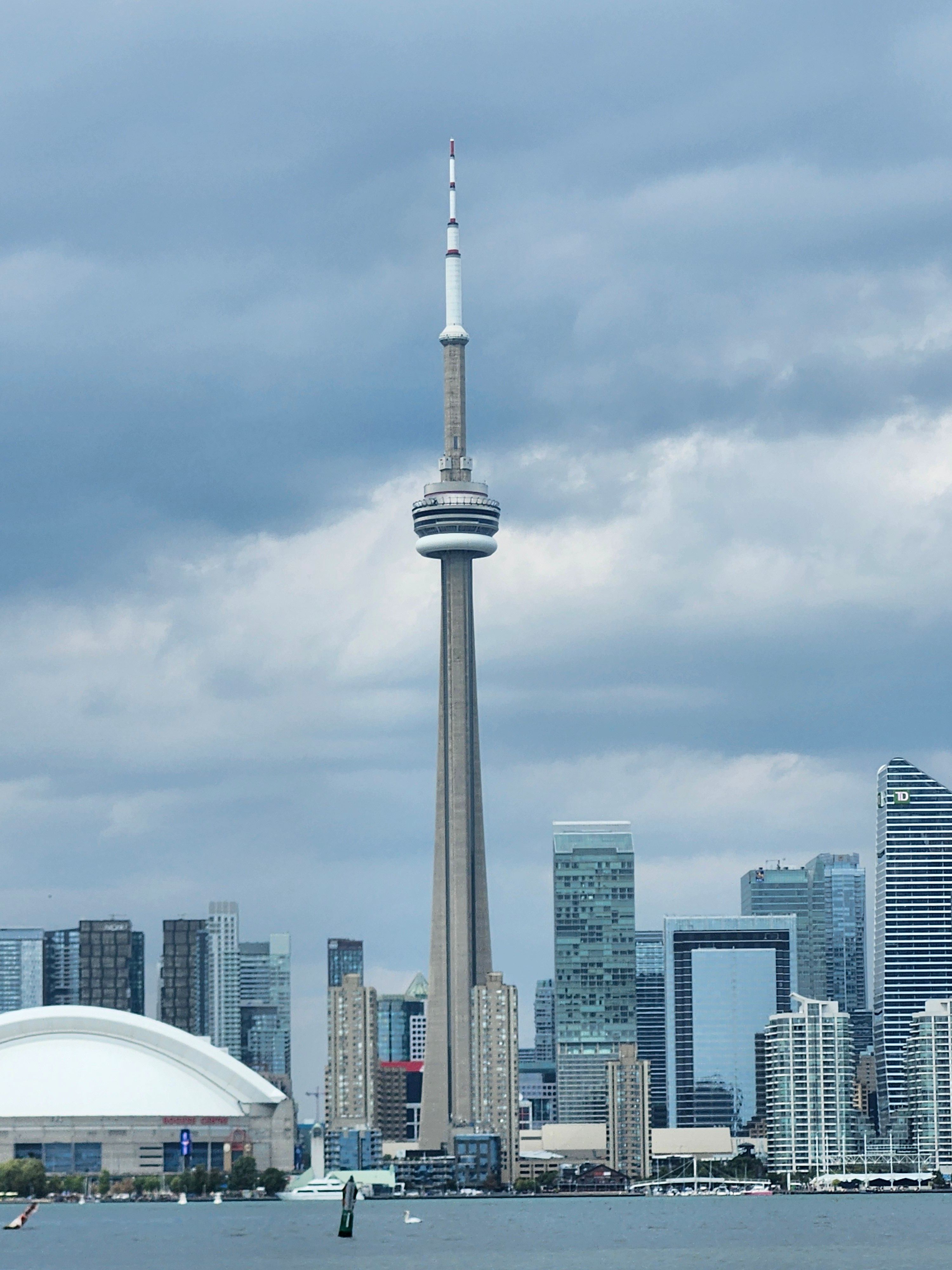 Toronto Skyline with Iconic CN Tower · Free Stock Photo