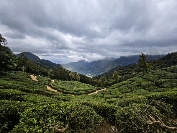 Coimbatore to Ooty taxi and bus rental