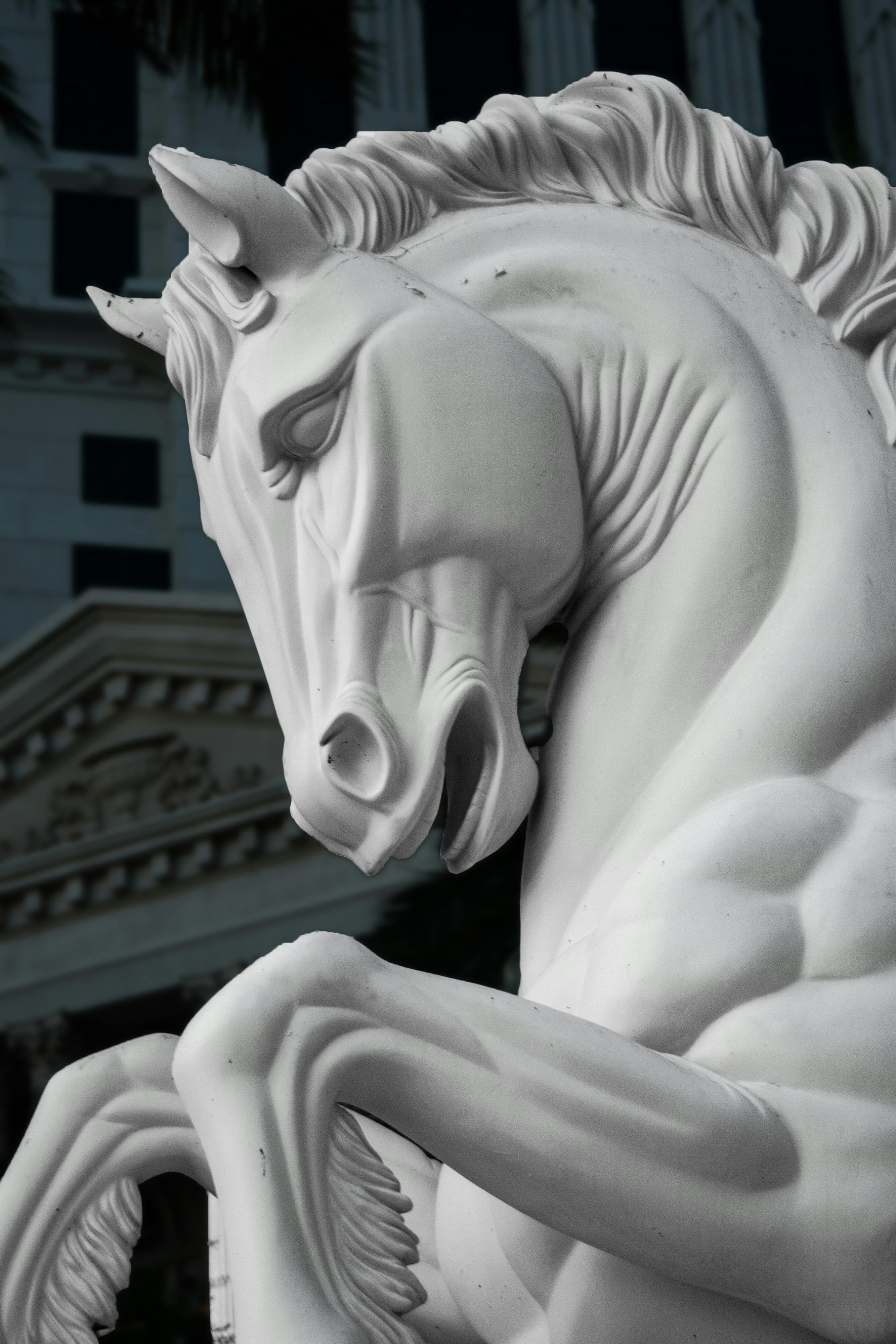 Horse Cents
