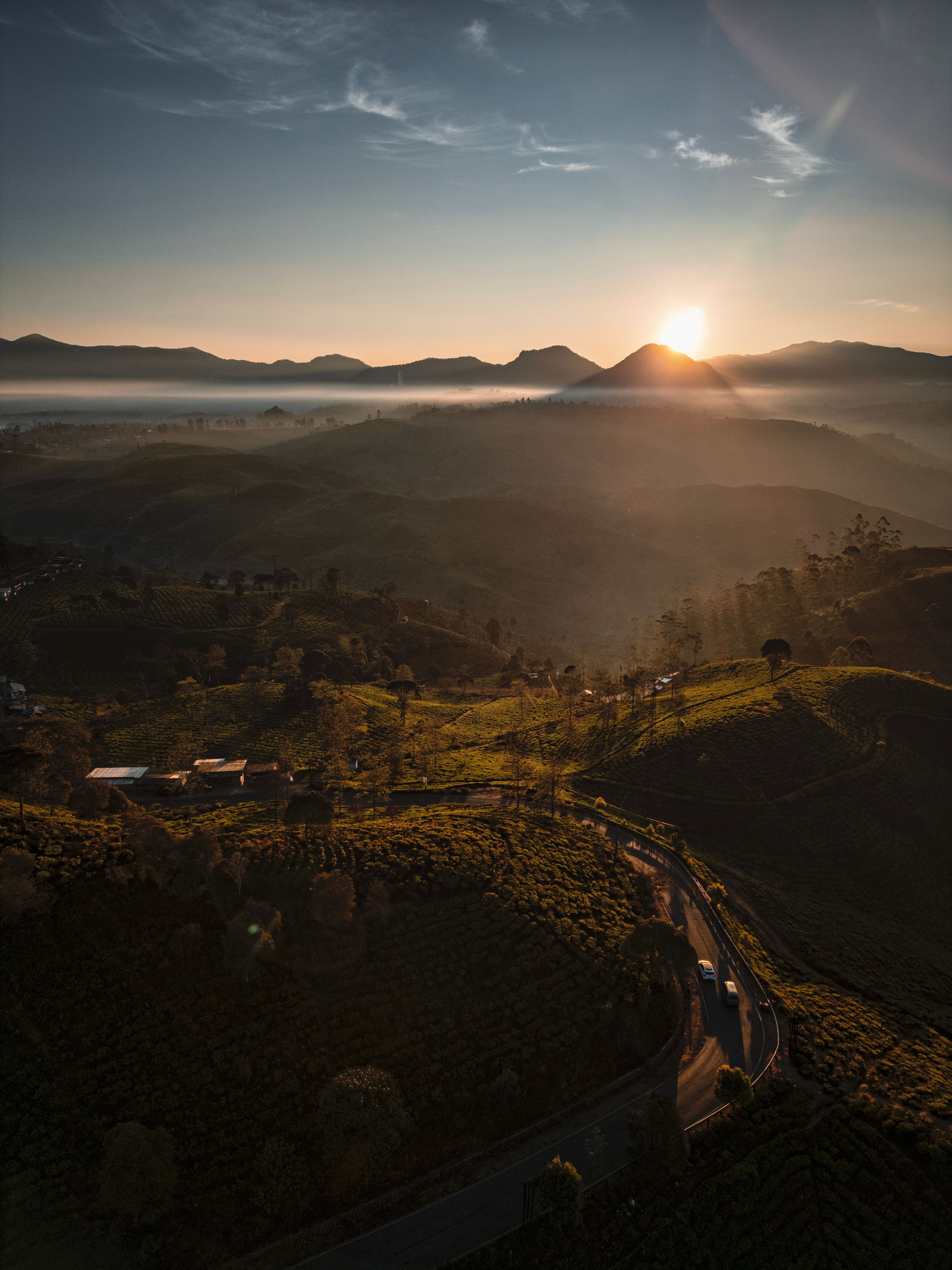 Scenic Sunrise Over Tea Plantations in West Java · Free Stock Photo