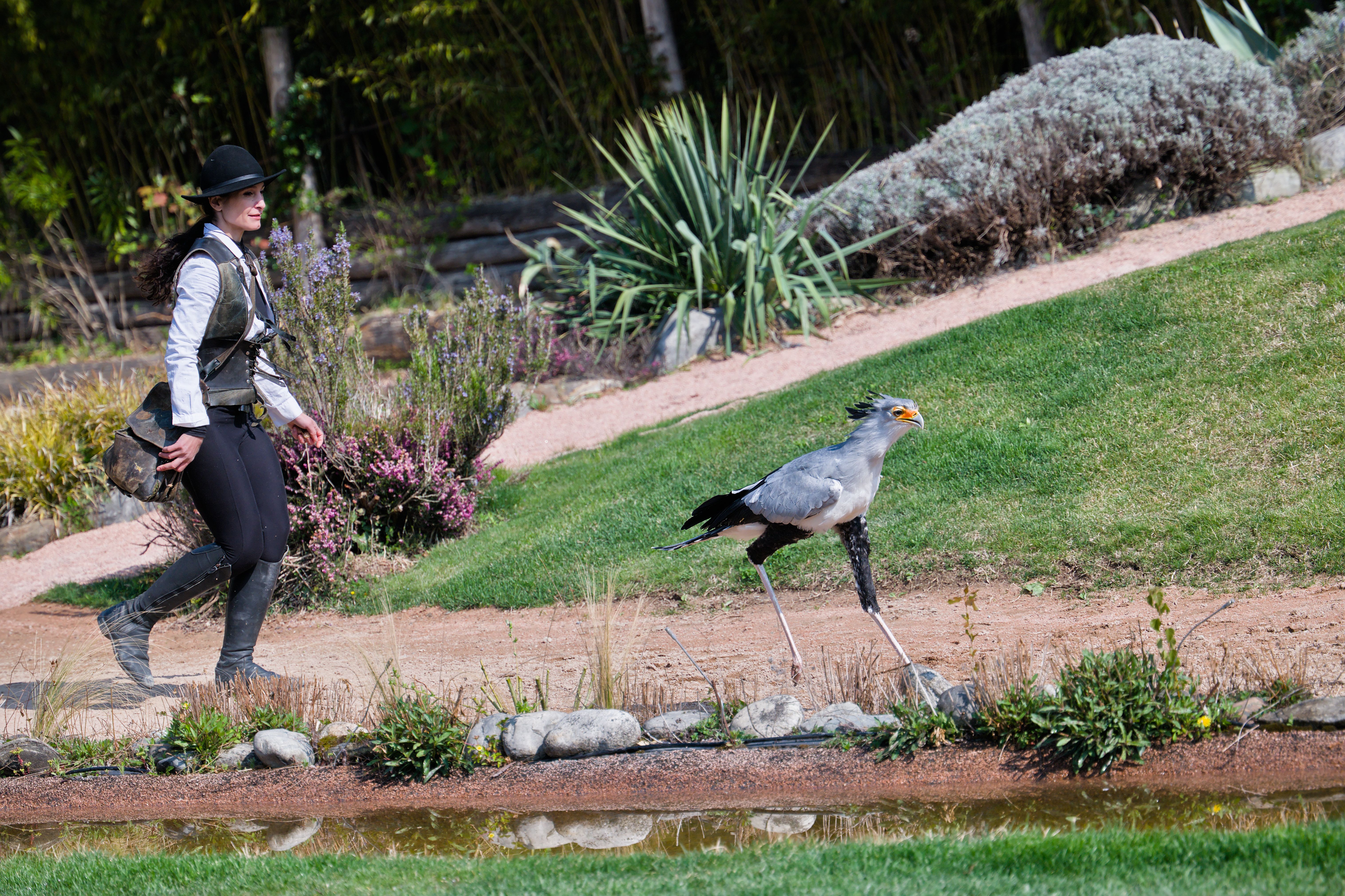 Avian Adventures
