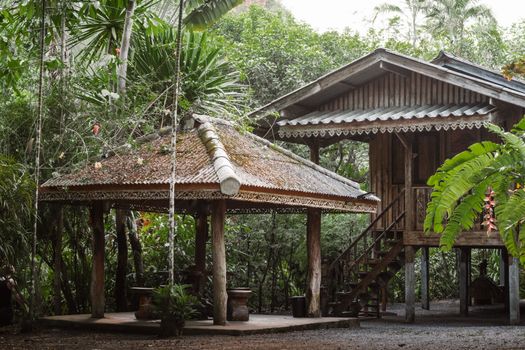 Traditional wooden house surrounded by lush tropical greenery, ideal for eco-tourism or rustic retreats.