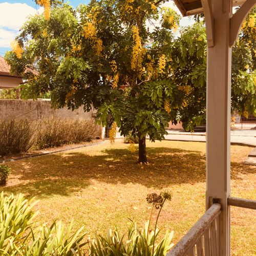 Free stock photo of backyard, blooming tree, garden Stock Photo