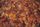 autumn leaves falling