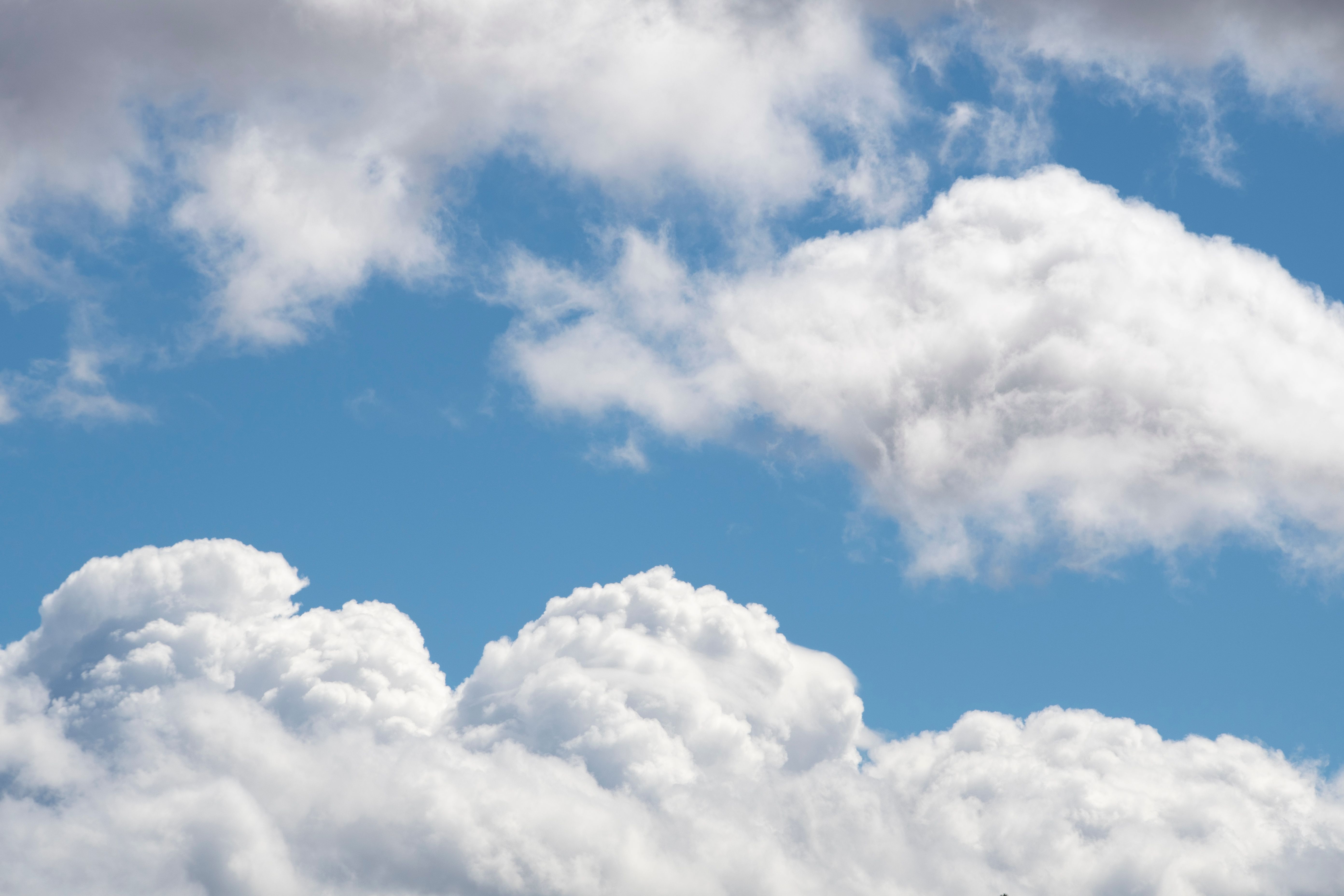 澄み切った青空に浮かぶ明るい積雲は、穏やかな夏の日を彷彿とさせる。