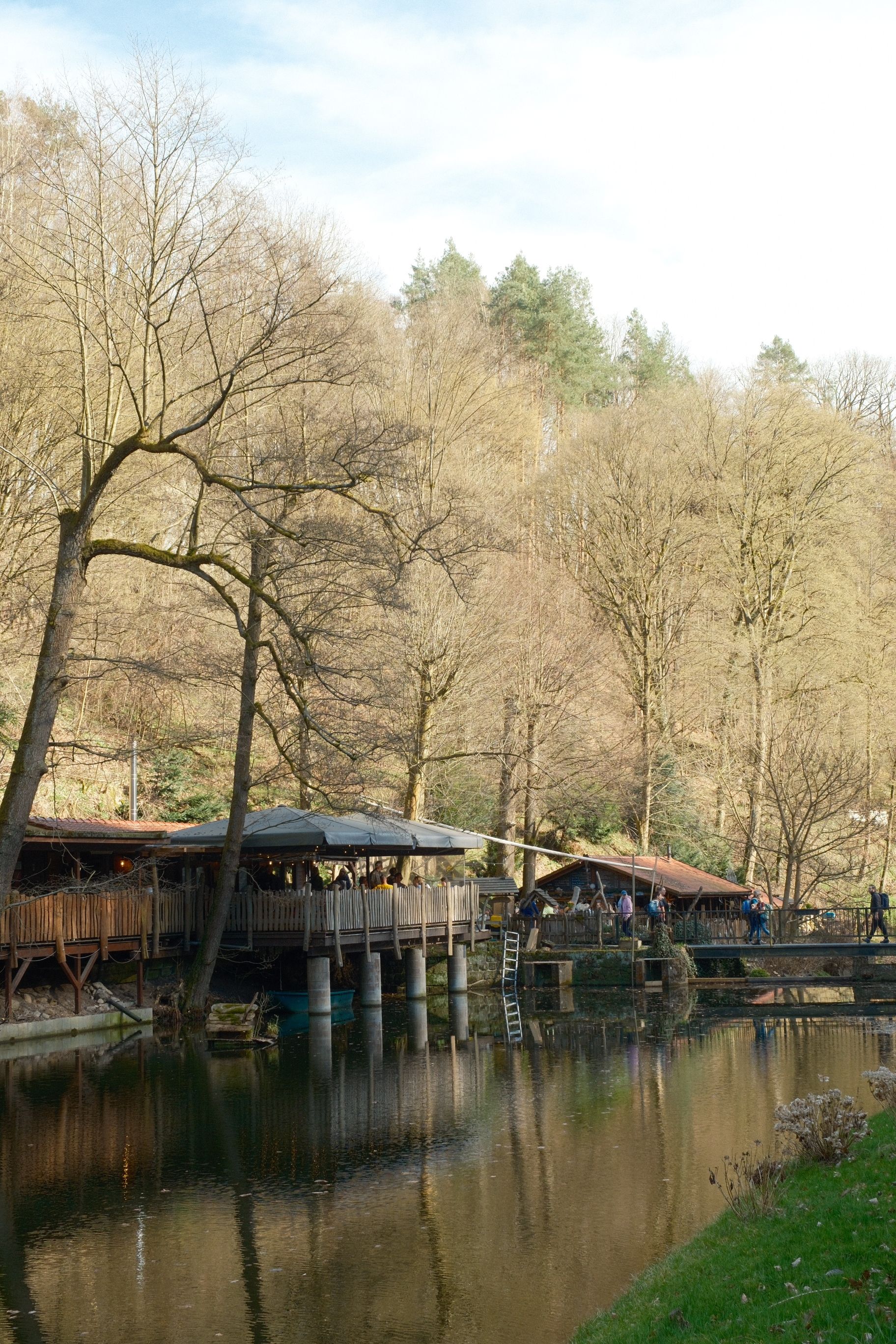 Tranquil riverside scene in Germany, featuring quaint cafés and a serene forest backdrop.