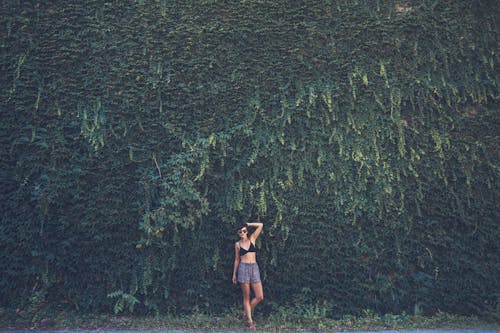 Woman in Black Bikini Top on Green Leafed Plant