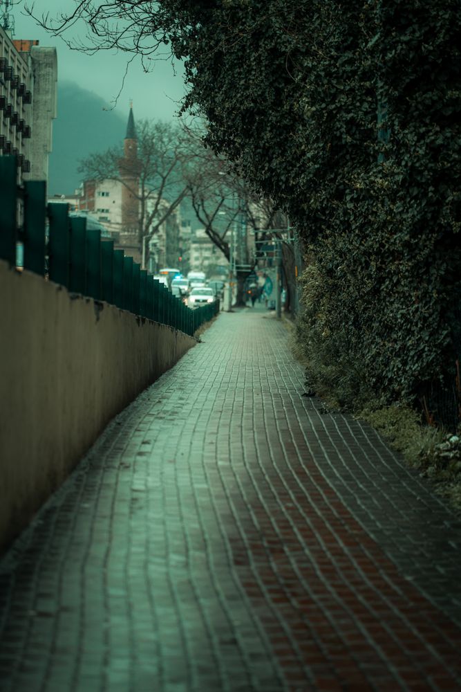 Empty Street Background Photos, Download The BEST Free Empty Street ...