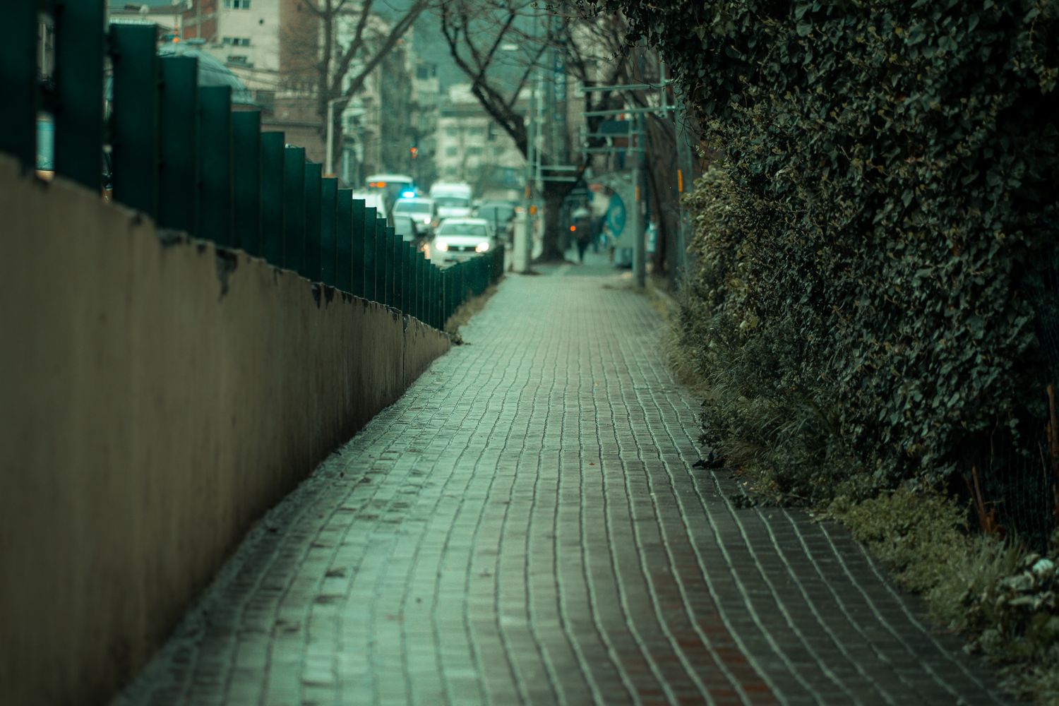 Empty Street Texture Empty Street Background Photos, Download The BEST Free Empty Street ...