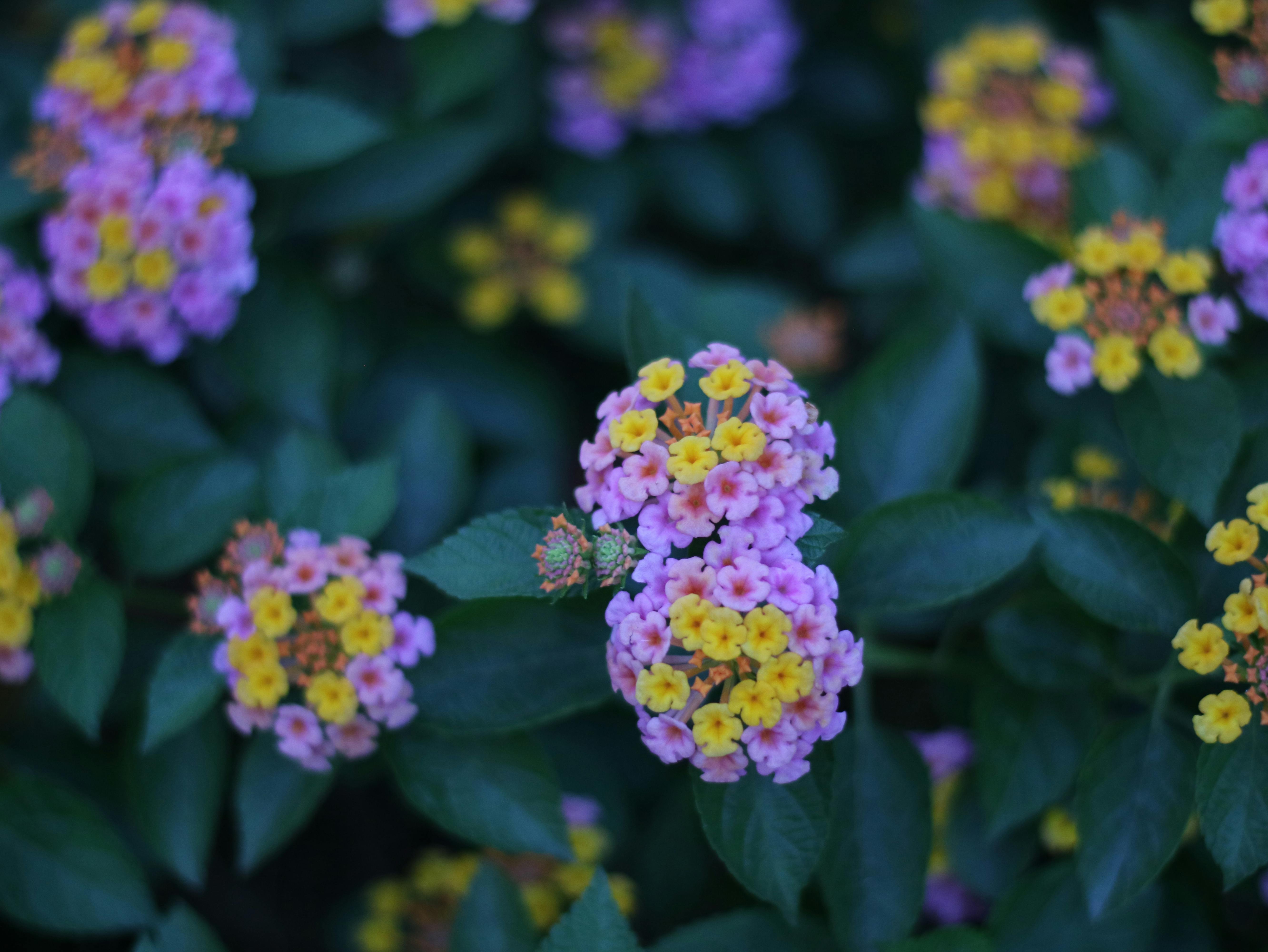 Cover image for Why Context Breaks Most Sentiment Analysis Models