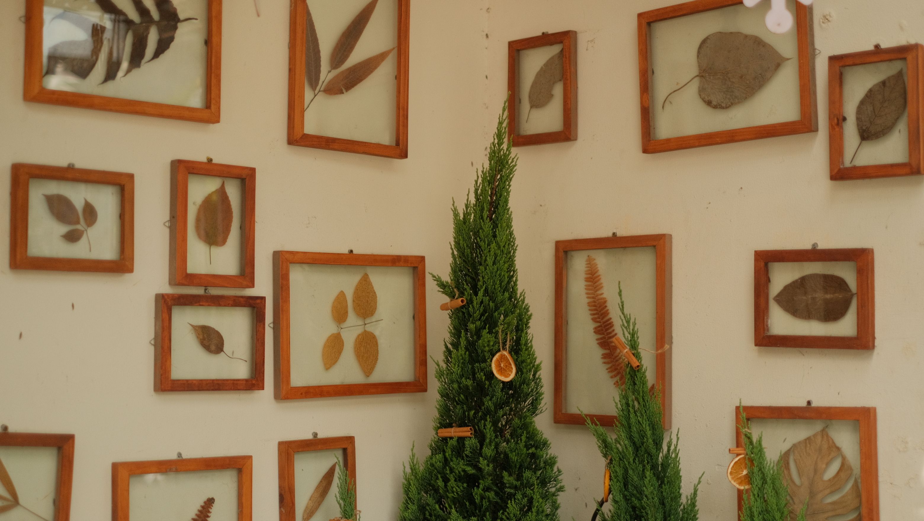 Golden Flower Preservation Craft